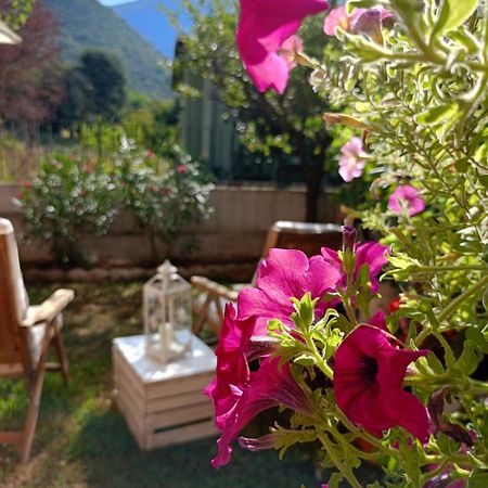 La Civetta Appartamento Con Giardino E Parcheggio Nave  Buitenkant foto